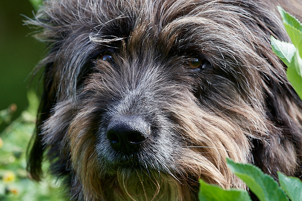 HanworthBoBo260522-1