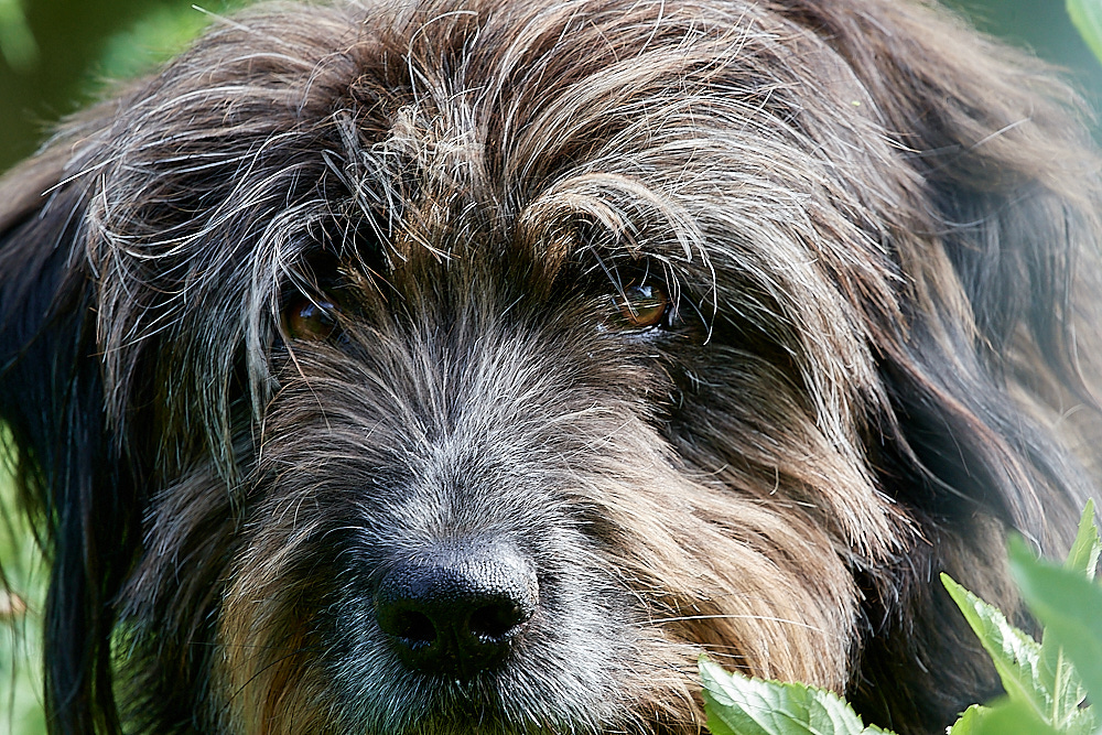 HanworthBoBo260522-3