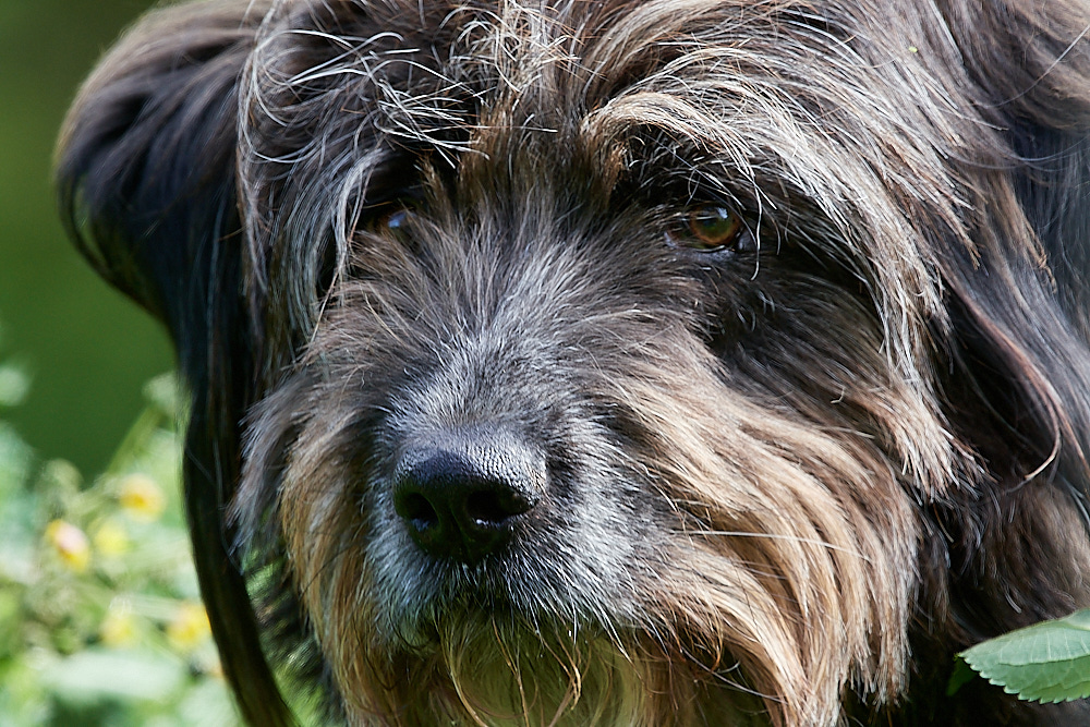 HanworthBoBo260522-4