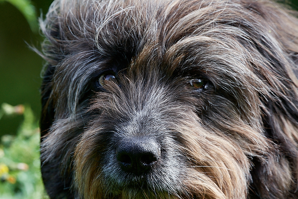 HanworthBoBo260522-5