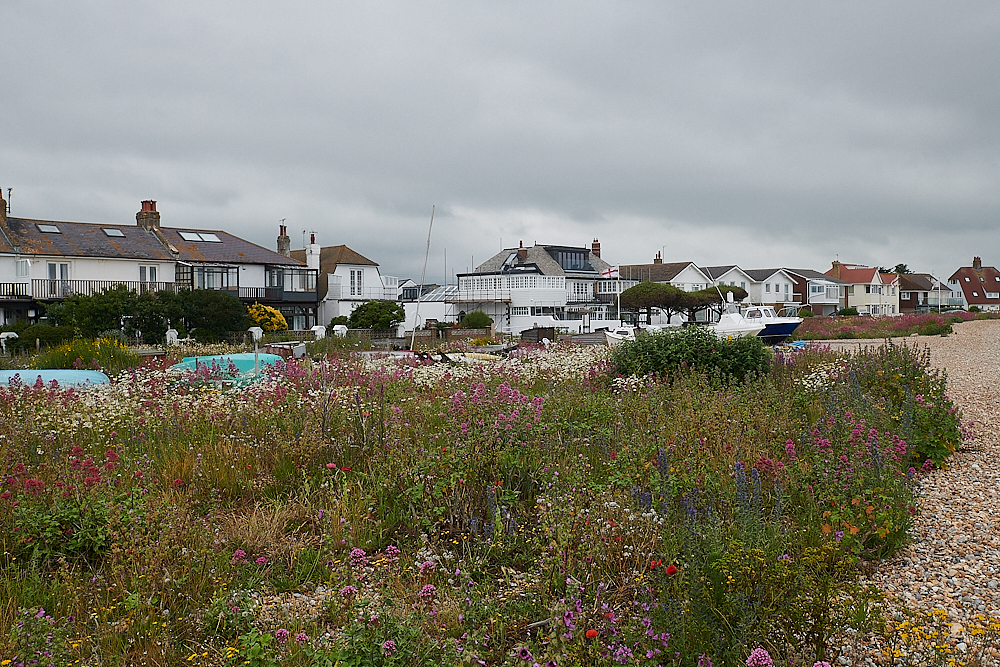 Pevensey0621-25