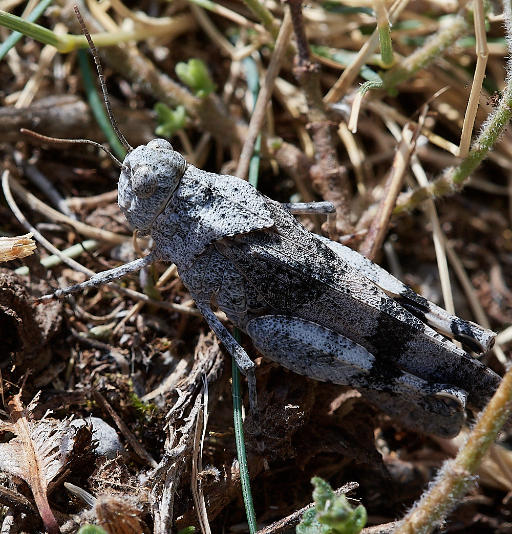 RoubionGuillestre030722-1